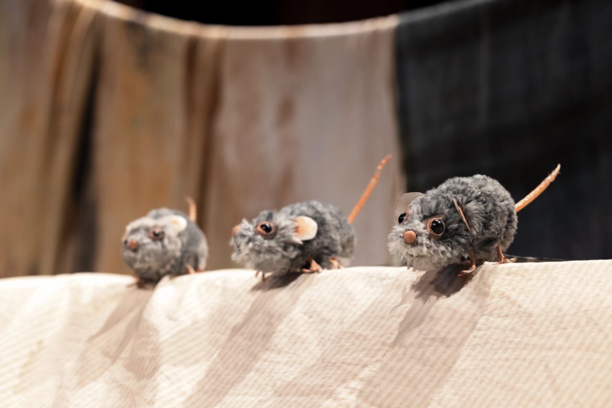 Three fluffy puppet mice sit on a washing line, we see another washing line in the background, fabric is draped over the lines