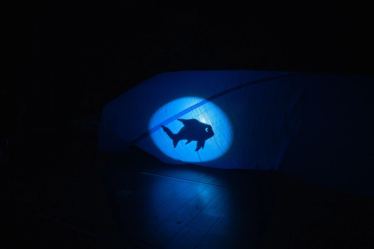 a shadow of a goldfish is projected onto a blue tarp