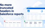 Salesforce Report Header Wrapper - a solution to the Salesforce reporting issue