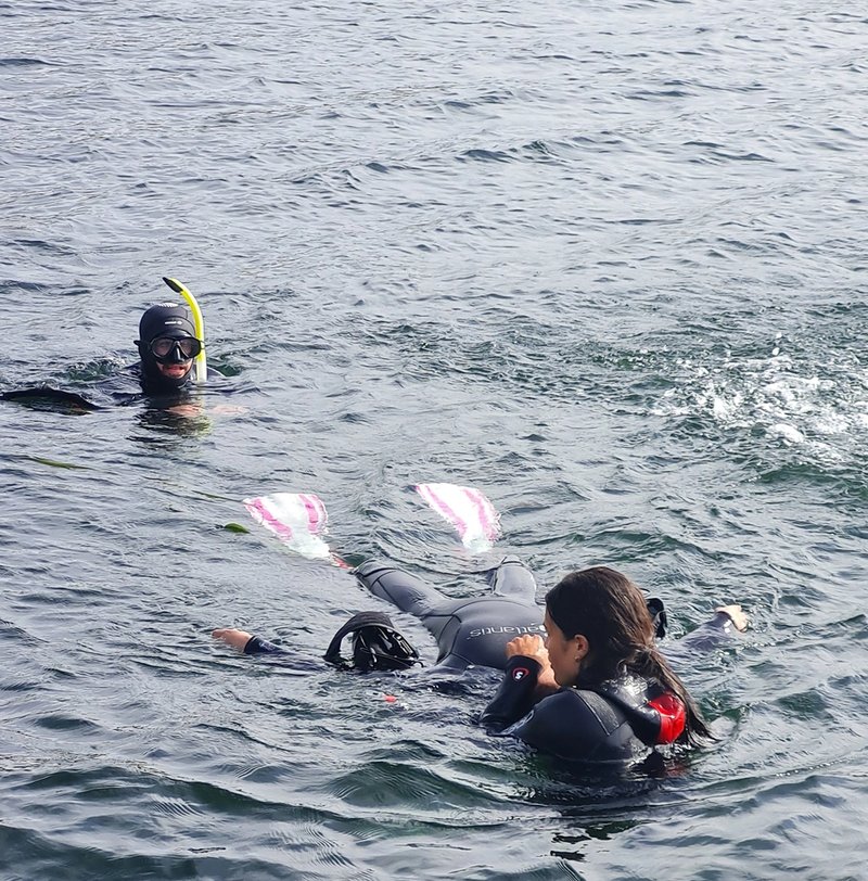 Rescue Course gallery image 2
