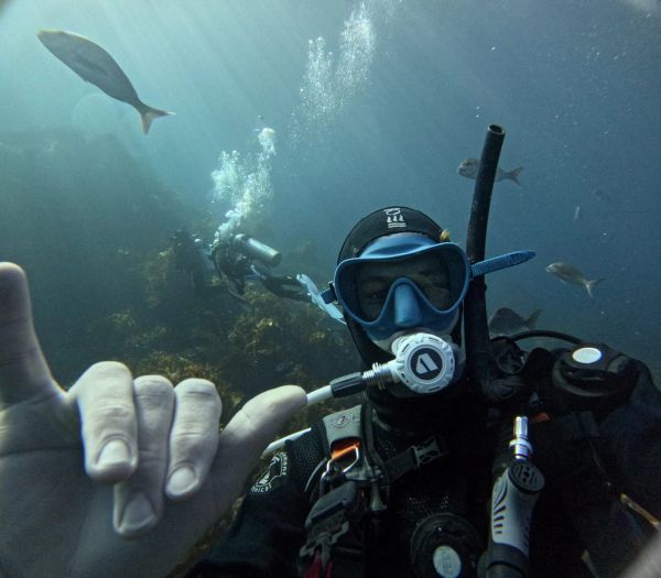 divemaster diving the poor knights islands new zealand