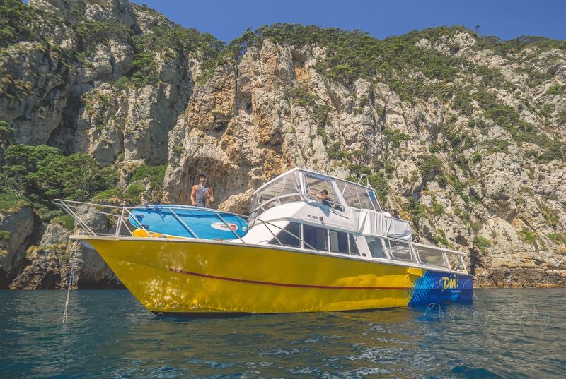 dive vessel at the poor knights islands