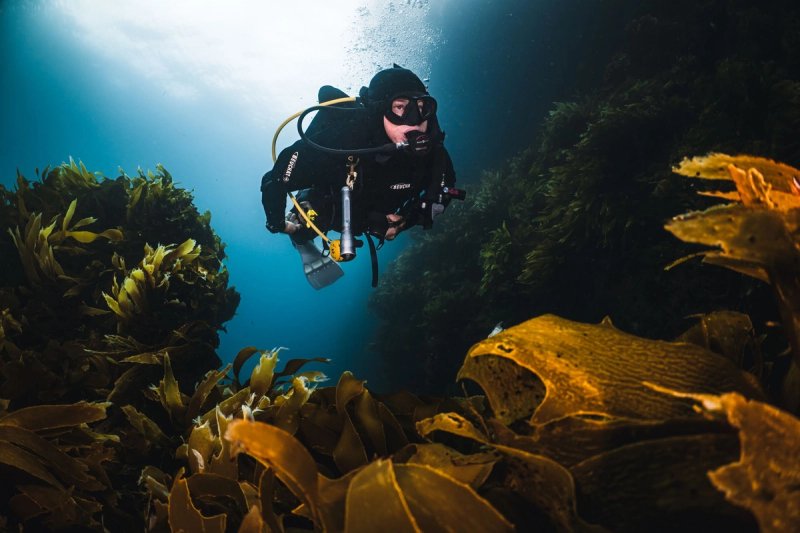 Deep Diver Specialty gallery image 2