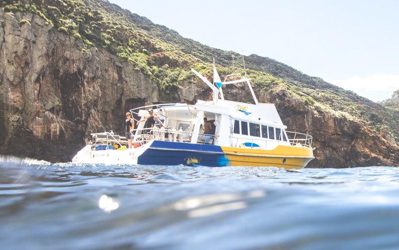 dive boat of dive tutukaka at poor knight islands