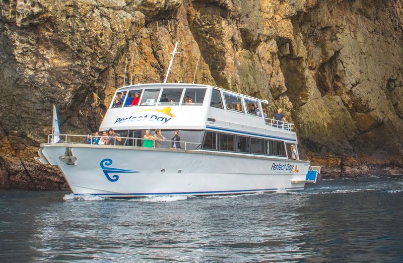 perfect day boat at poor knights islands new zealand