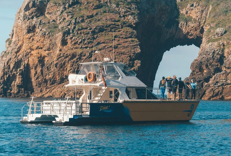 dive boat at the poor knights islands