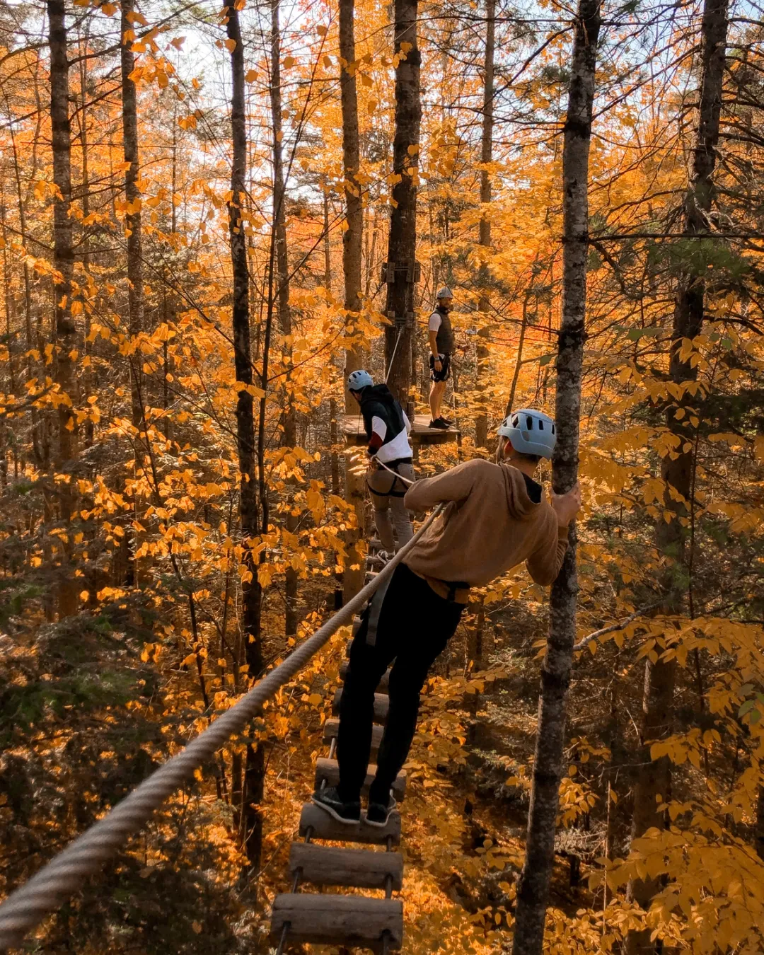 Tourisme nature : accrobranche dans une forêt d’érables en automne