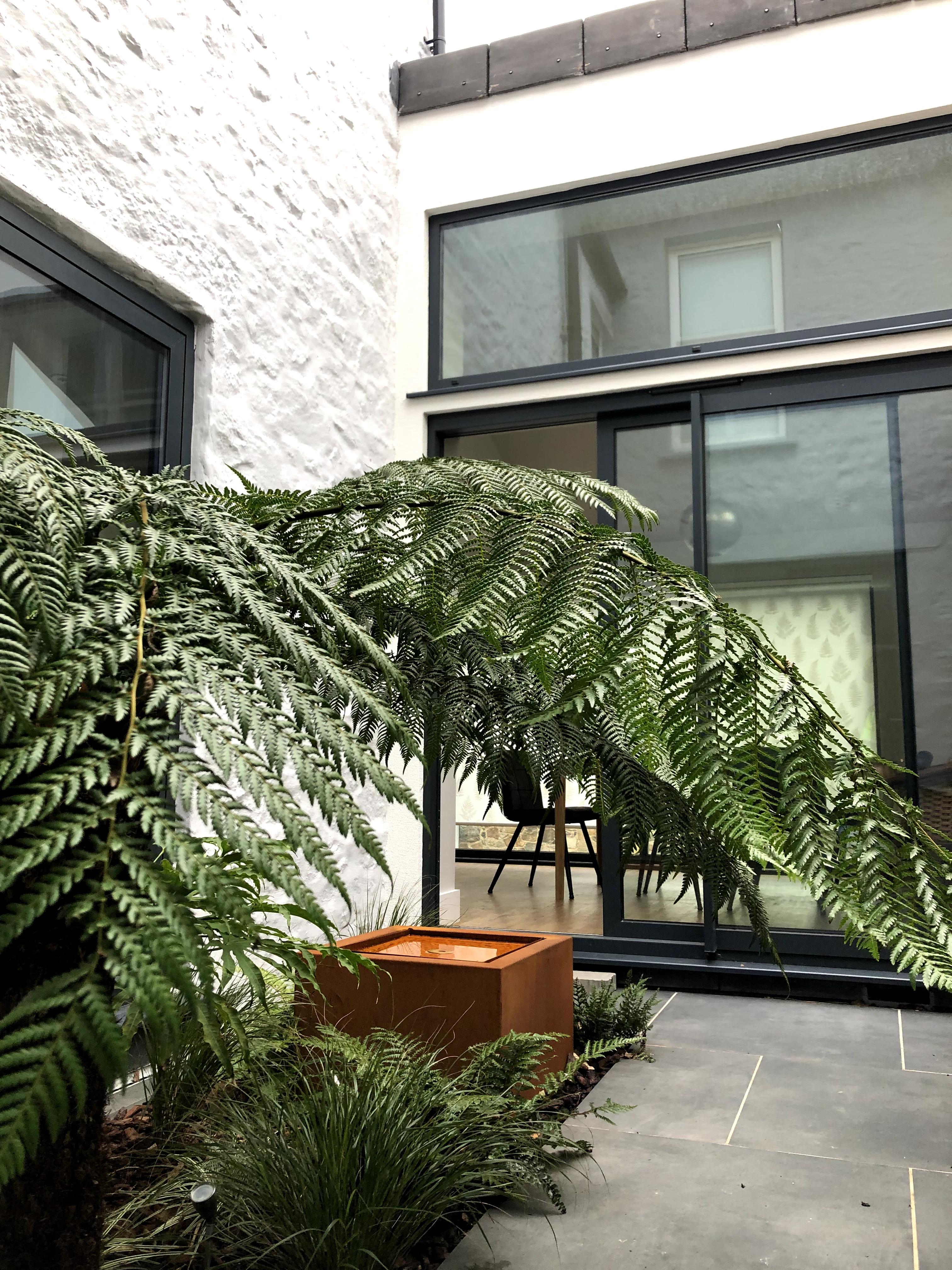 Exterior back patio shot of Le Moineau