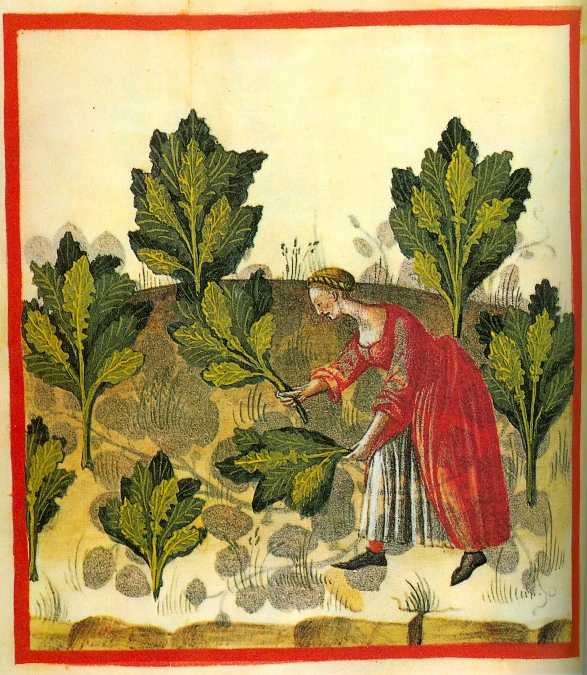 Tacuinum Sanitatis, Vienna Codex Vindobonensis Series Nova 2644, c. 1380. Österreichische Nationalbibliothek, Vienna.