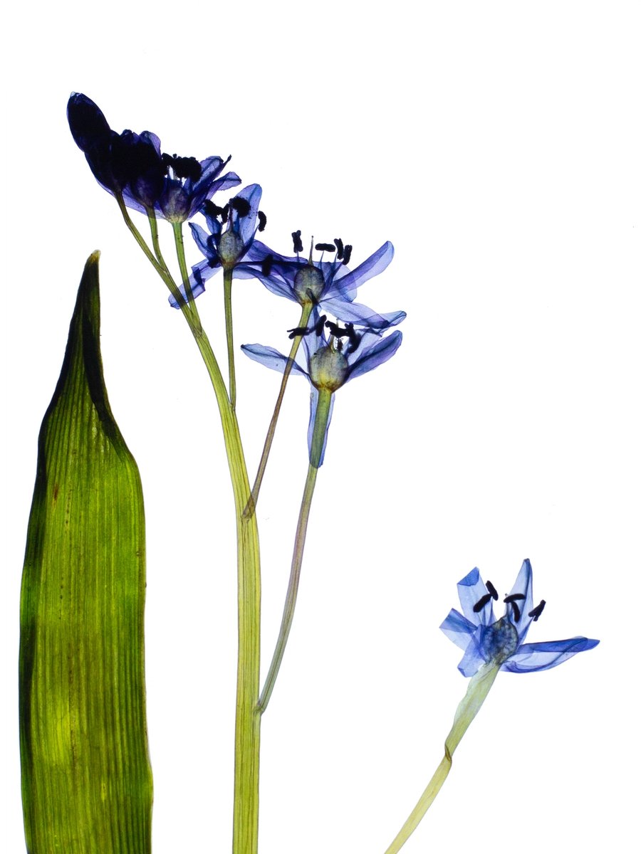 Ulm, Germany, 04/2024