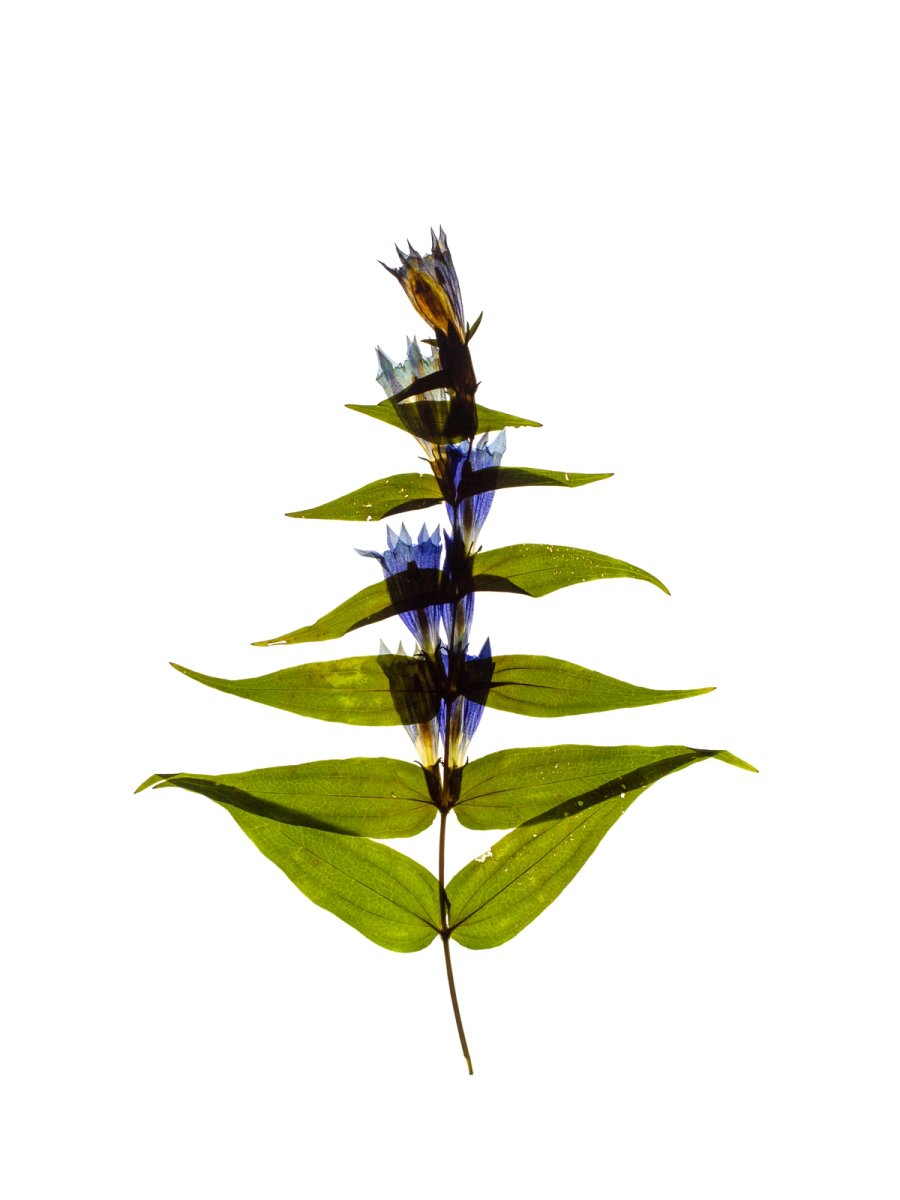 Petrovo Brdo, Slovenia, 09/2022