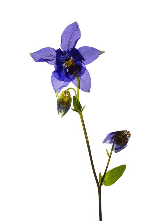 Stammheim, Germany, 05/2022