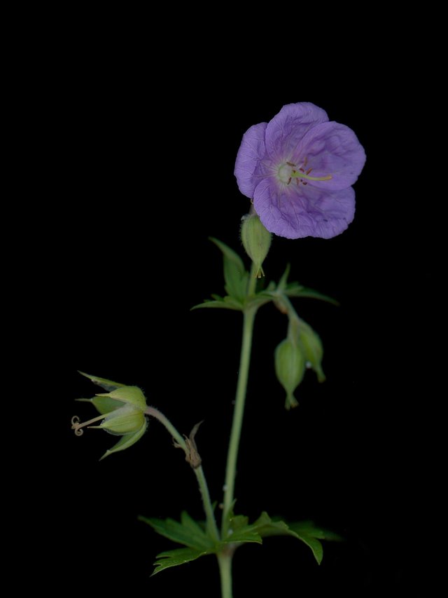 Thalkirchen, Germany, 09/2025