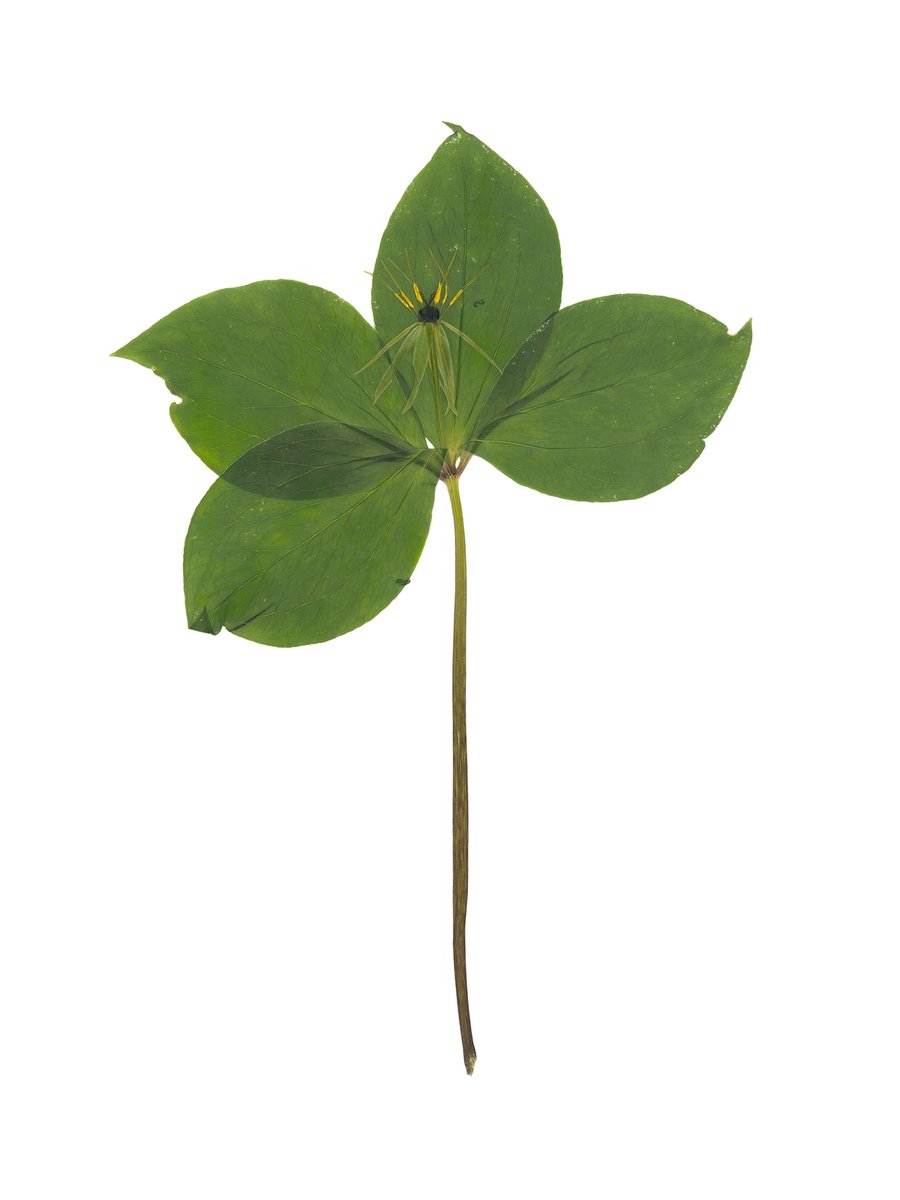 Reutlingen, Germany, 05/2025