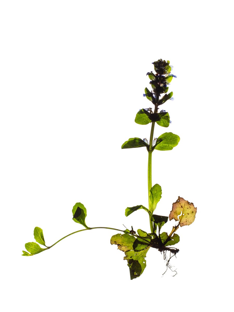 Thalkirchen, Germany, 04/2024