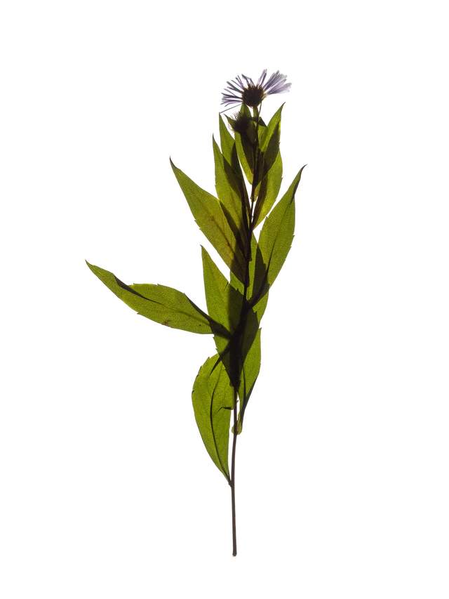 Thalkirchen, Germany, 10/2023