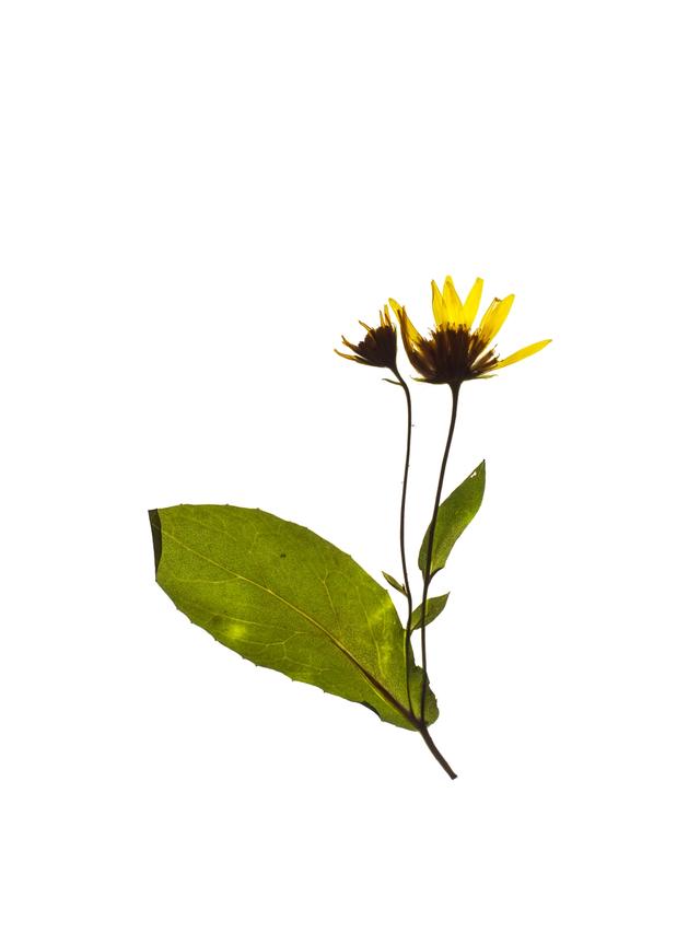 Corsica, France, 09/2023