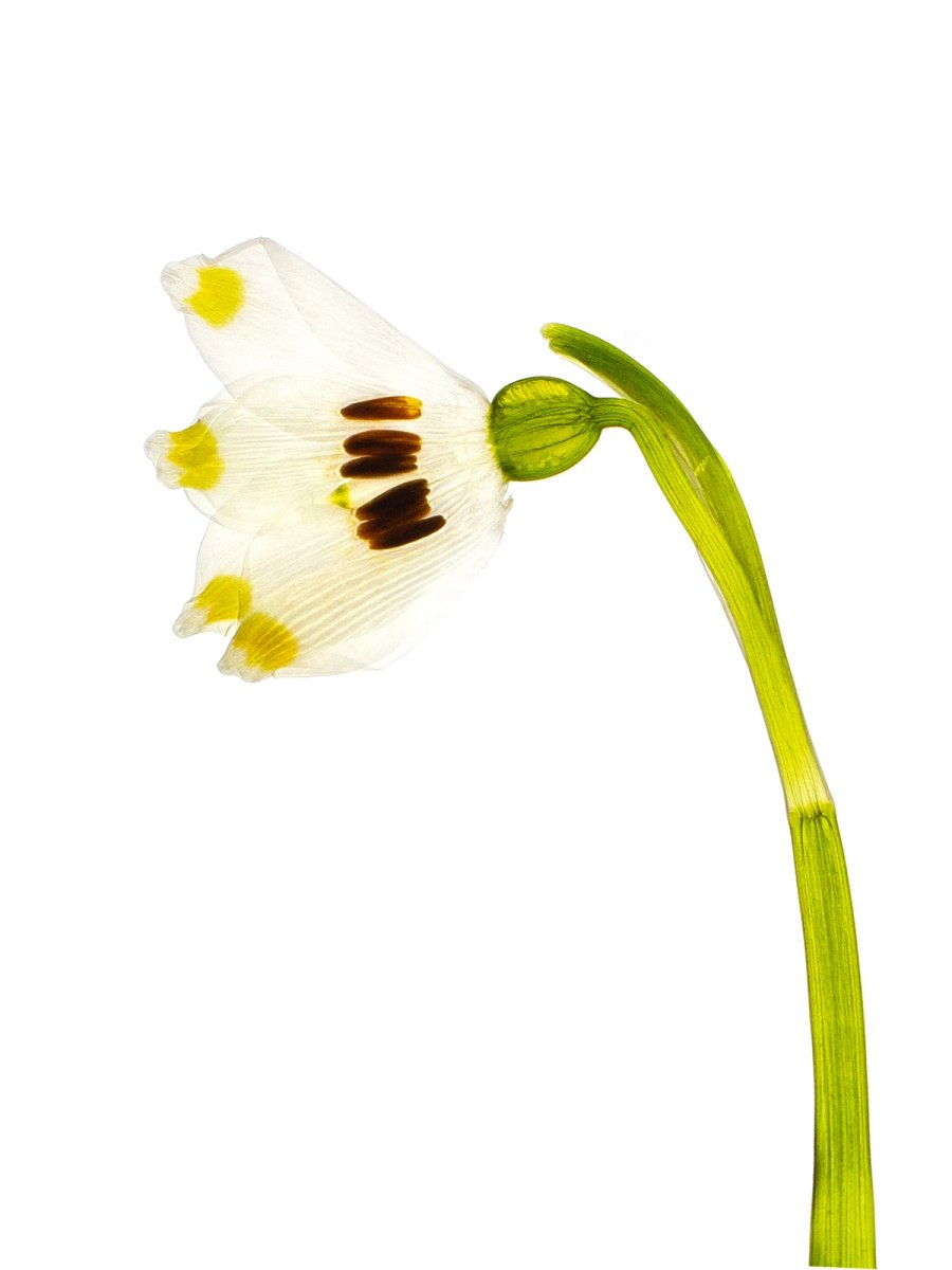 Pliezhausen (private property), Germany, 03/2020