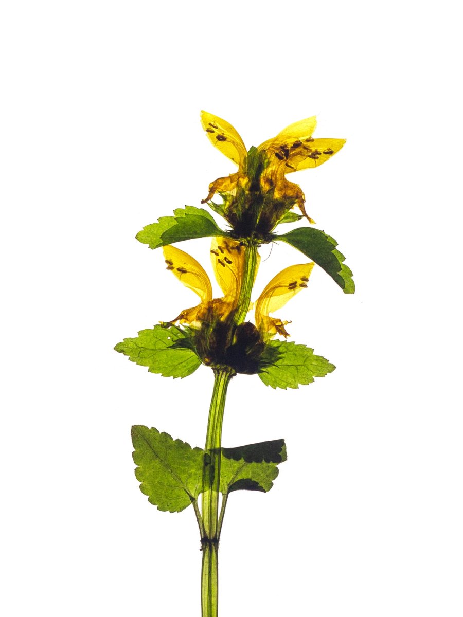 Stuttgart, Germany, 04/2022