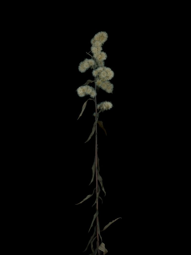 Munich, Germany, 11/2025