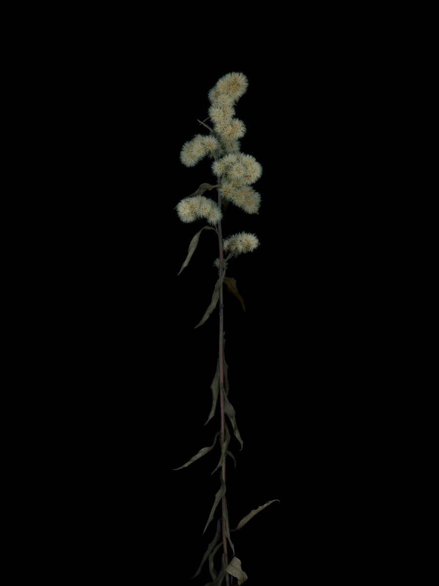 Munich, Germany, 11/2025