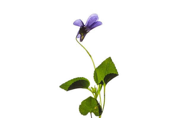 Freiburg, Germany, 05/2021