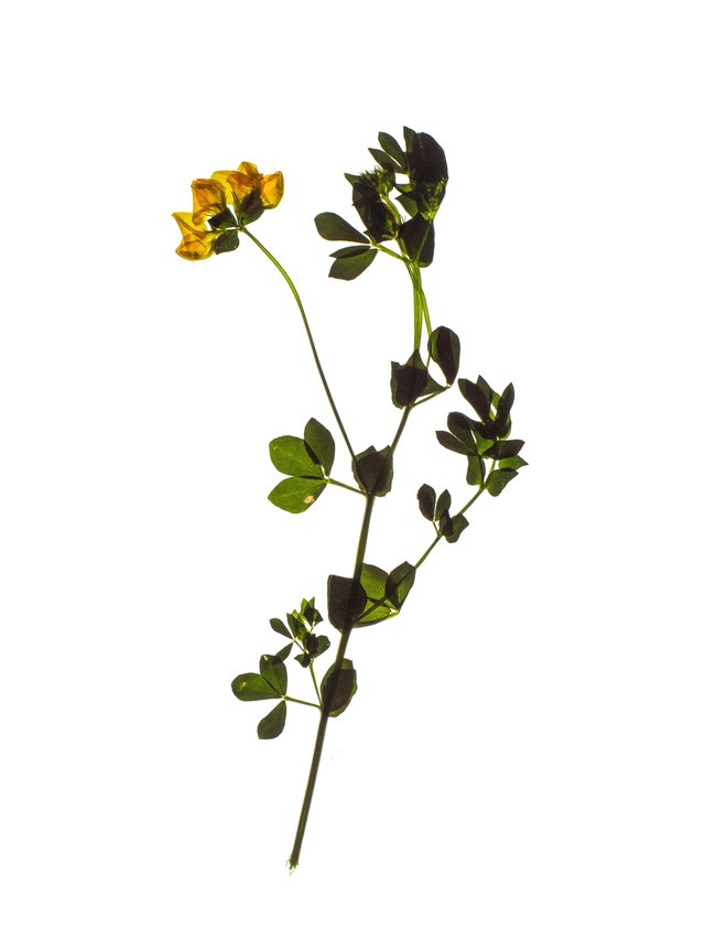 Thalkirchen, Germany, 05/2024