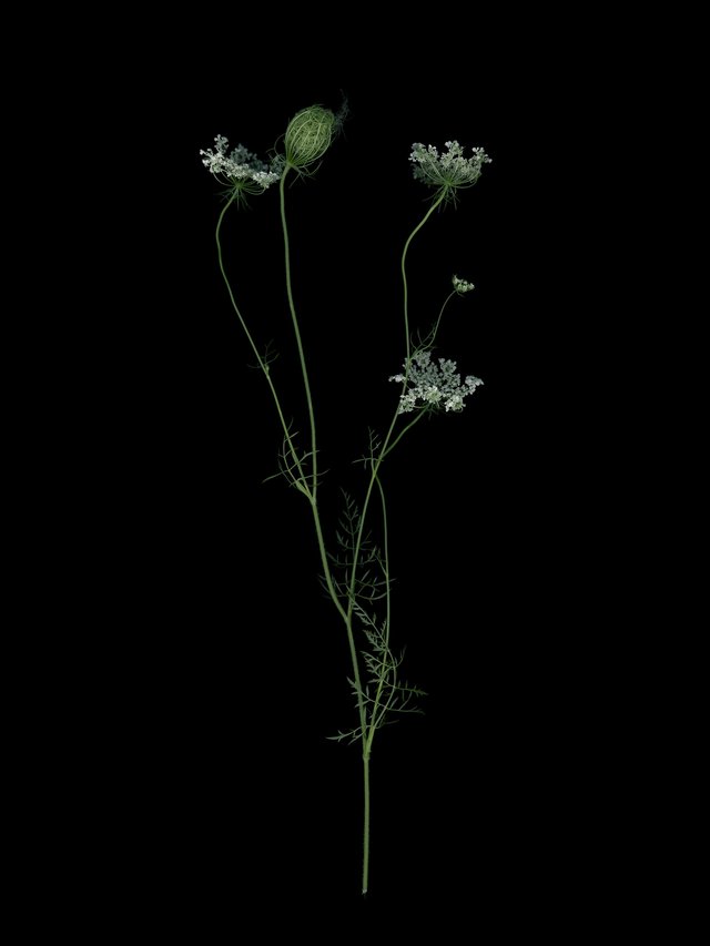 Thalkirchen, Germany, 09/2025