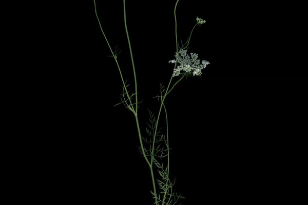 Thalkirchen, Germany, 09/2025