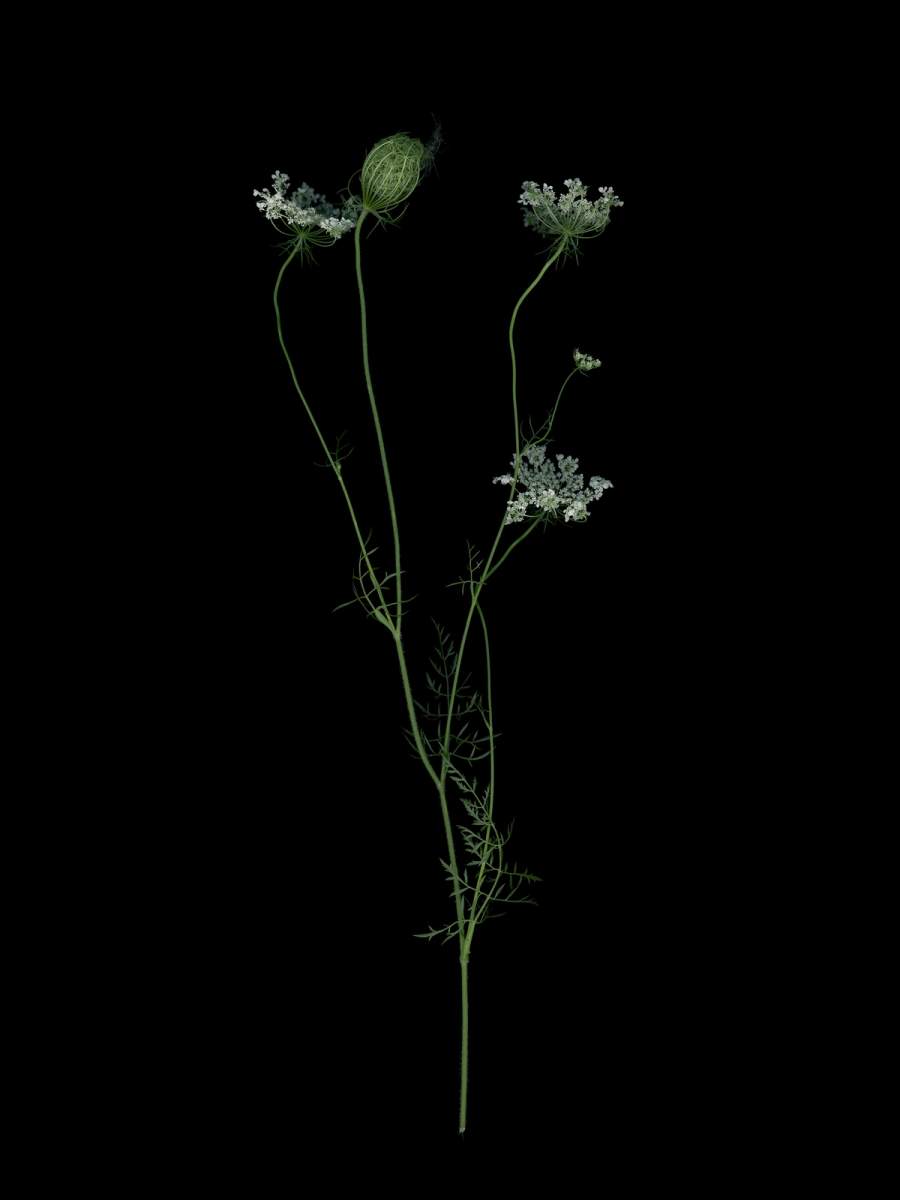 Thalkirchen, Germany, 09/2025