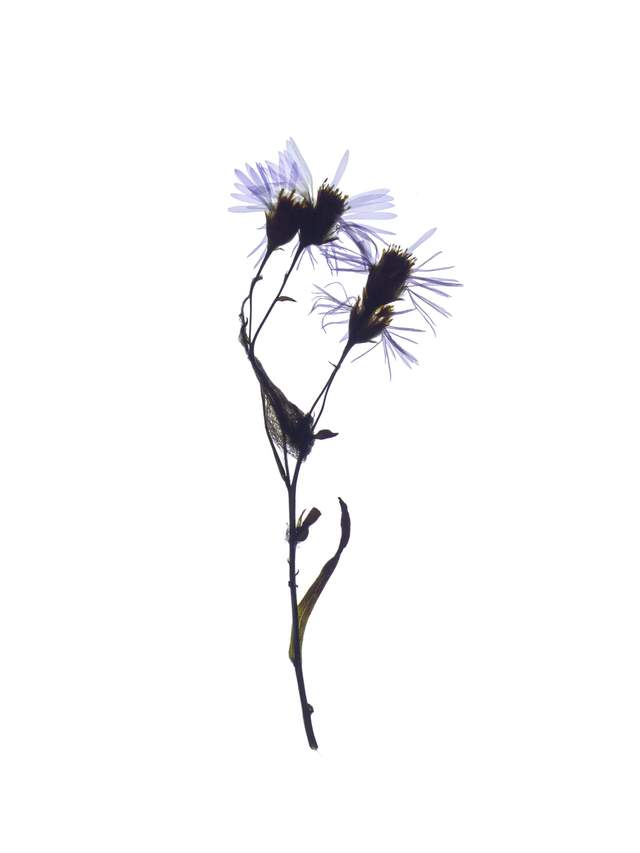 Pärnu, Estonia, 09/2024