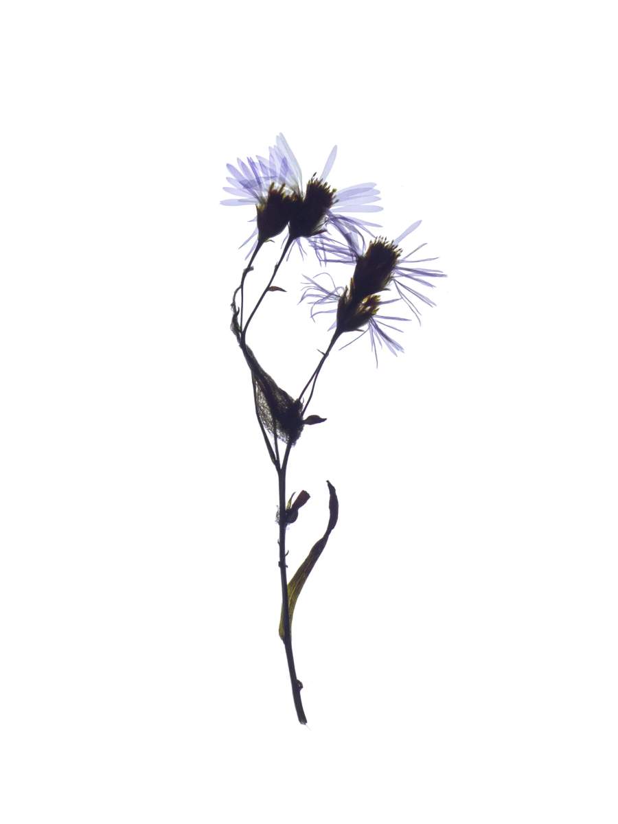 Pärnu, Estonia, 09/2024