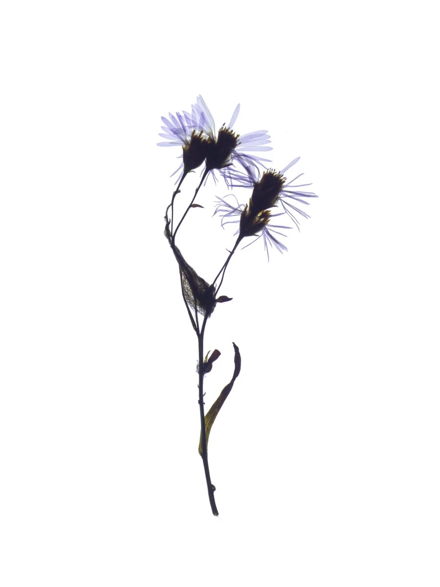 Pärnu, Estonia, 09/2024