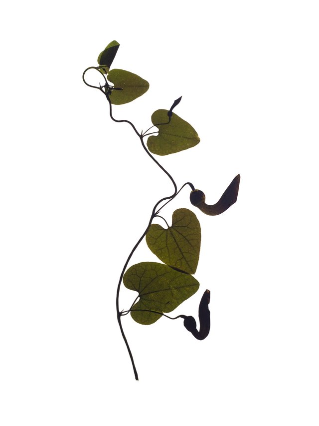 Vejer de la Frontera, Spain, 03/2022