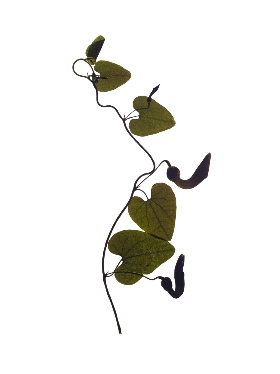 Vejer de la Frontera, Spain, 03/2022