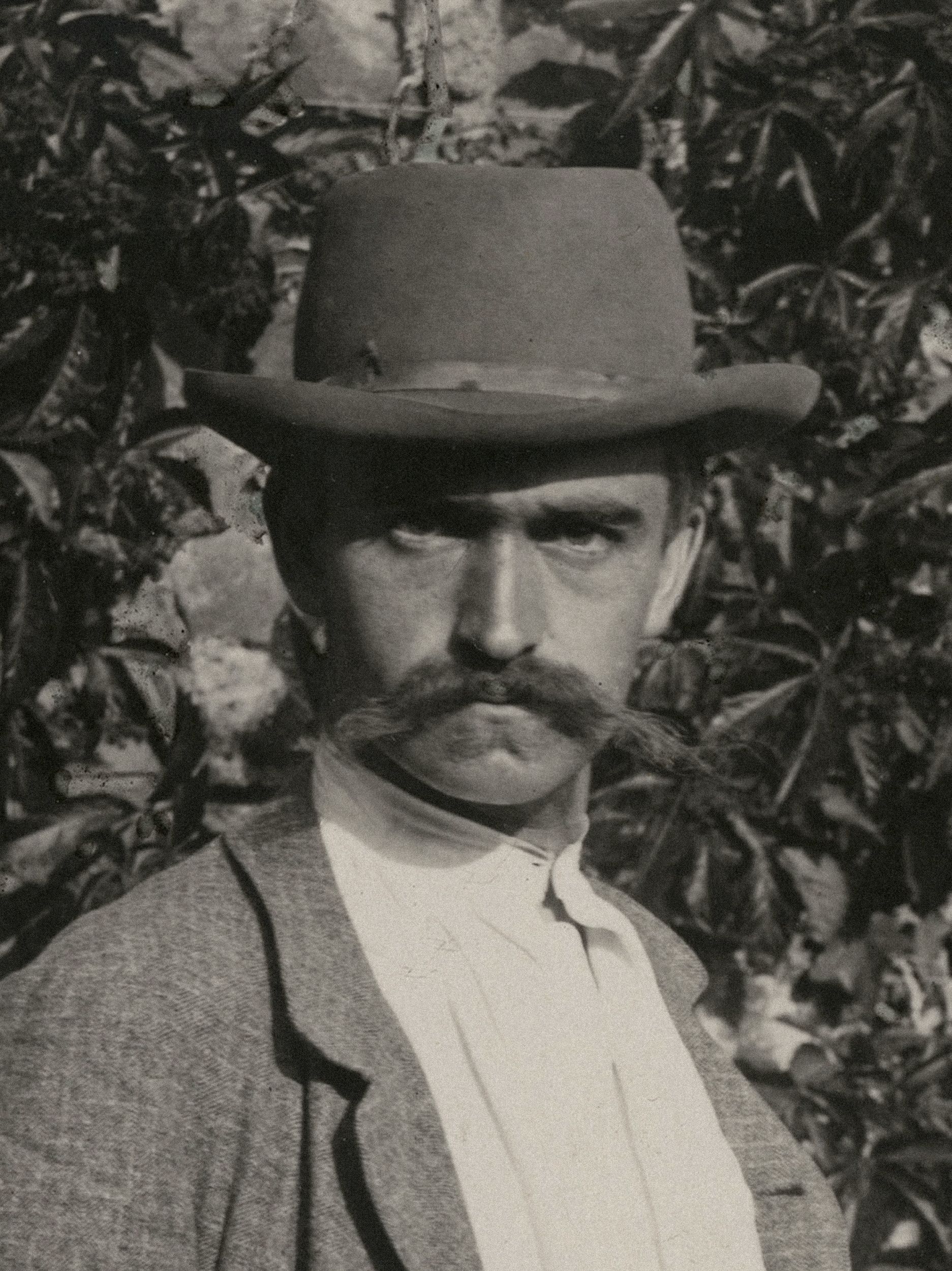 Karl Blossfeldt: Natural design archetypes