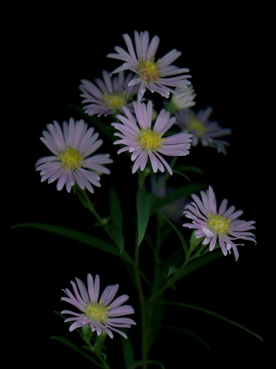 Thalkirchen, Germany, 09/2025