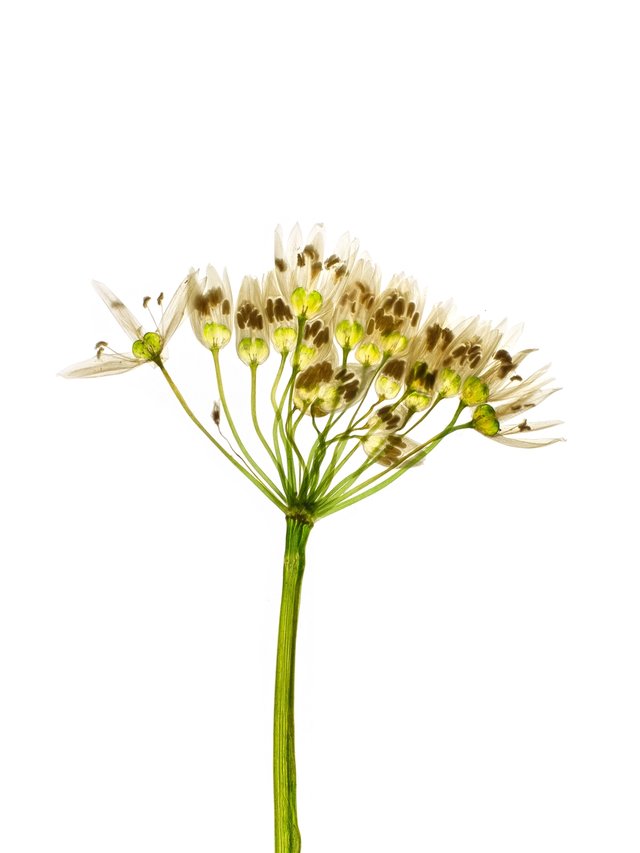 Prague, Czech Republic, 06/2018