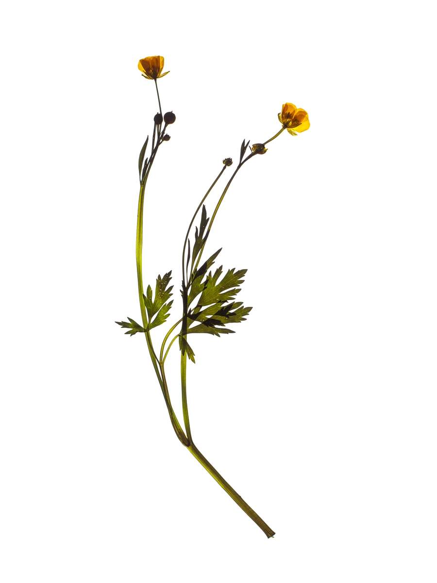 Munich, Germany, 05/2024