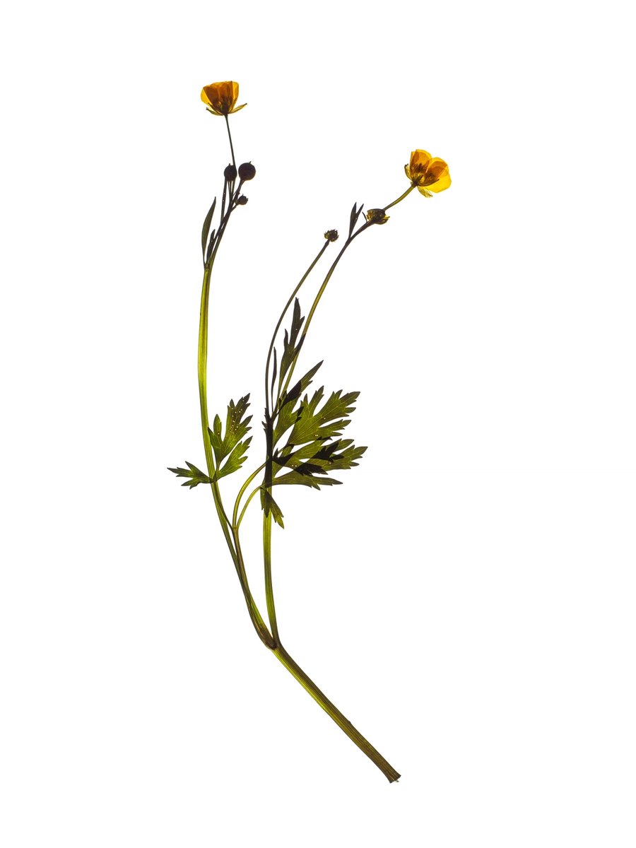 Munich, Germany, 05/2024