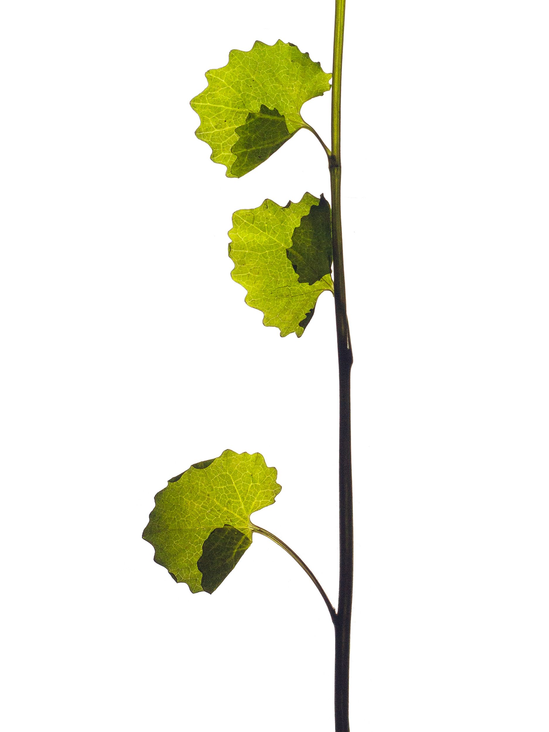 Stuttgart, Germany, 04/2022