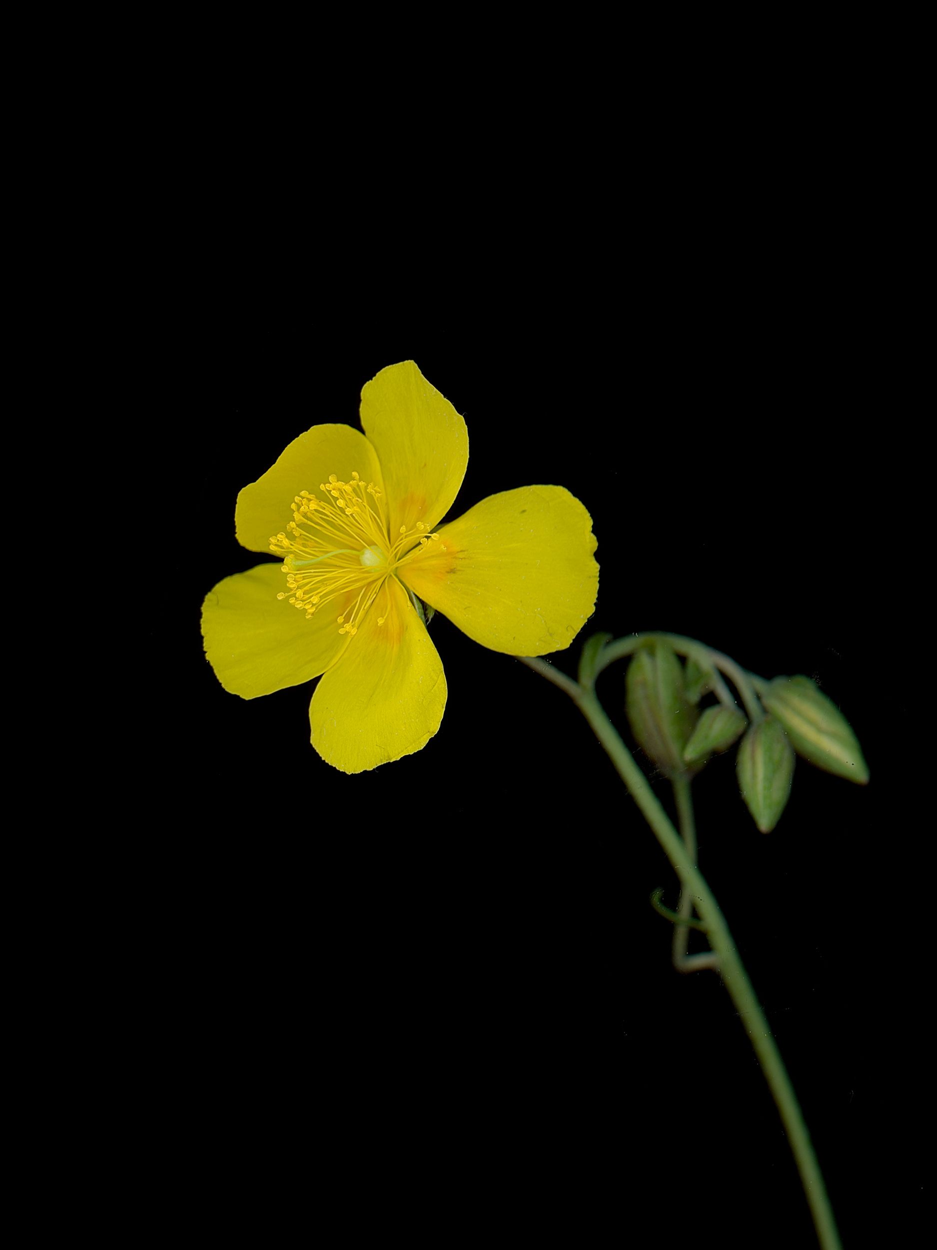 Thalkirchen, Germany, 09/2025