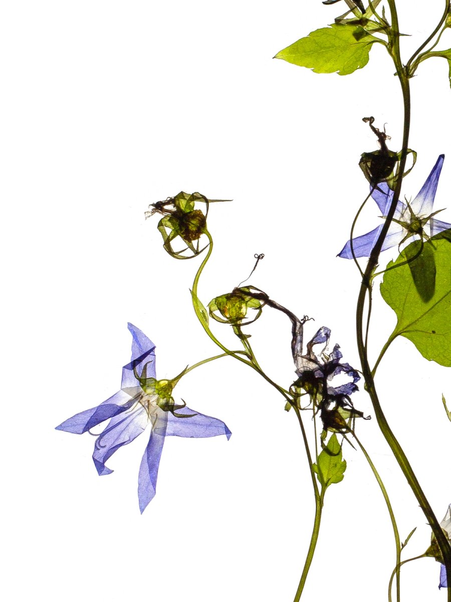 Stuttgart, Germany, 07/2022