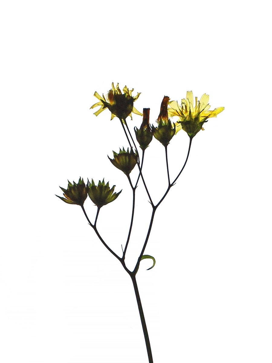 Stuttgart, Germany, 06/2021