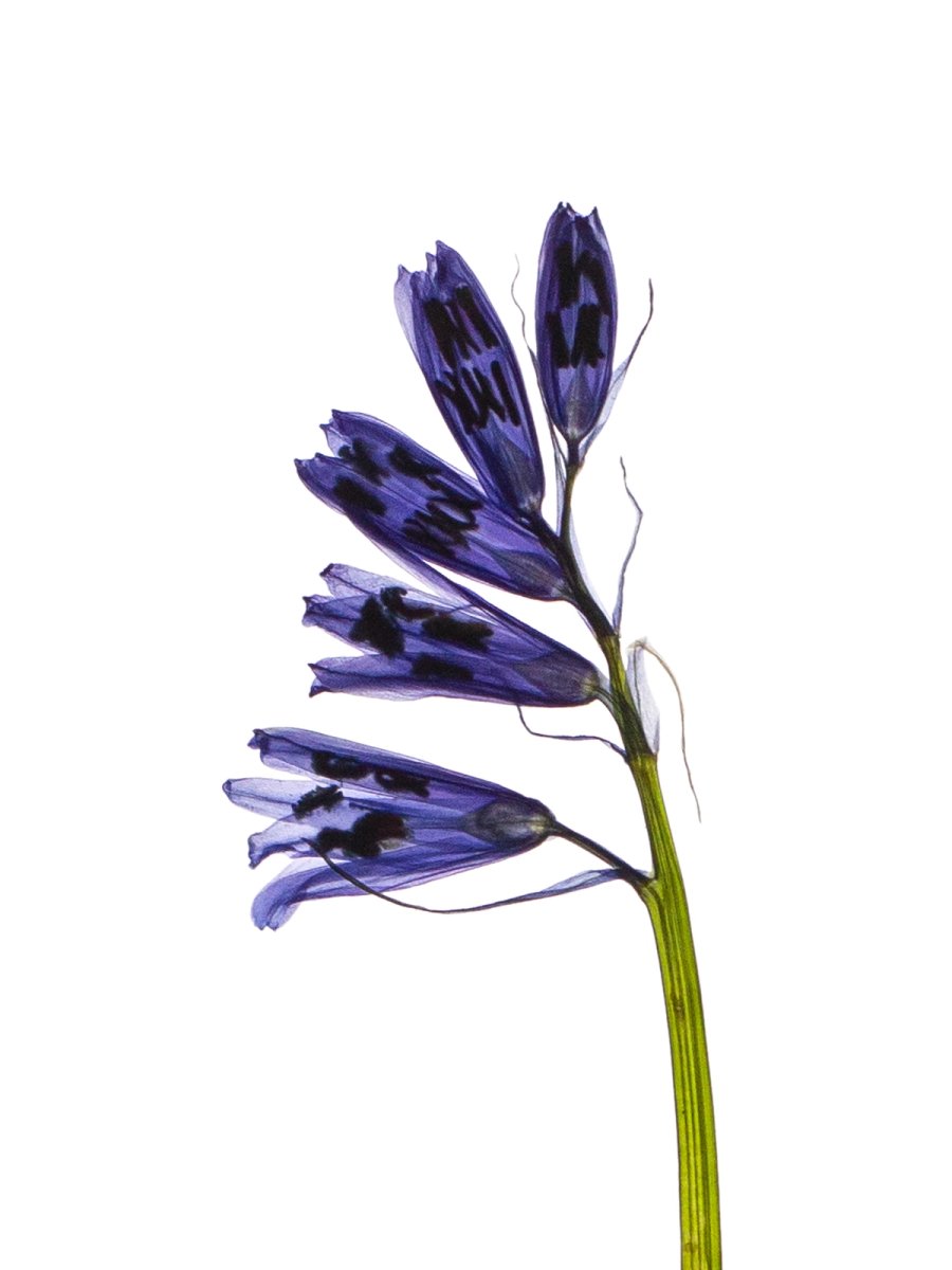 Cercedilla, Spain, 05/2023