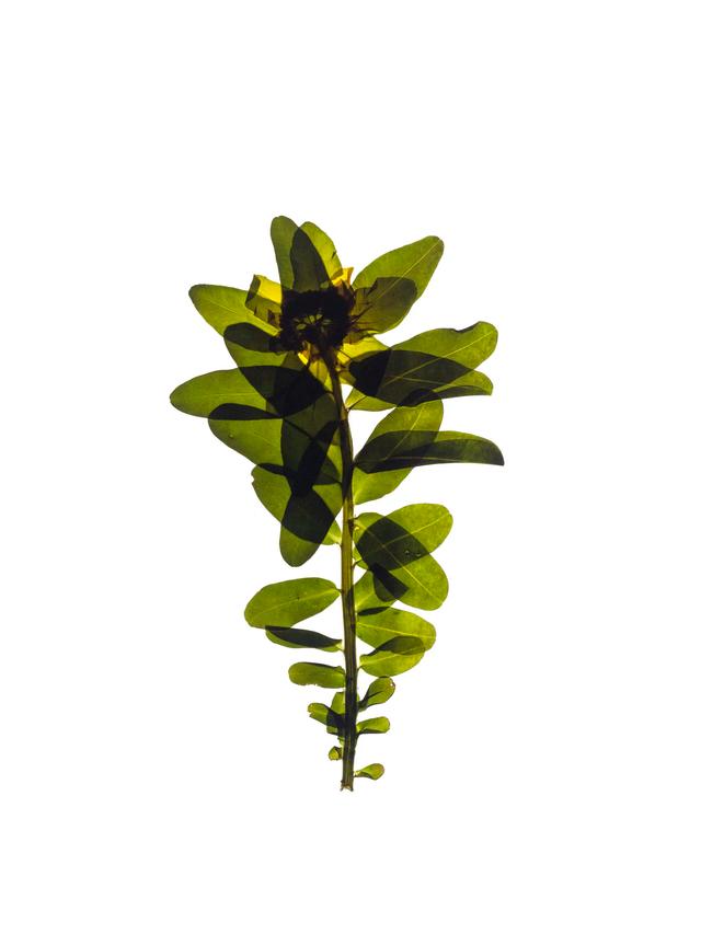 Stuttgart, Germany, 04/2022