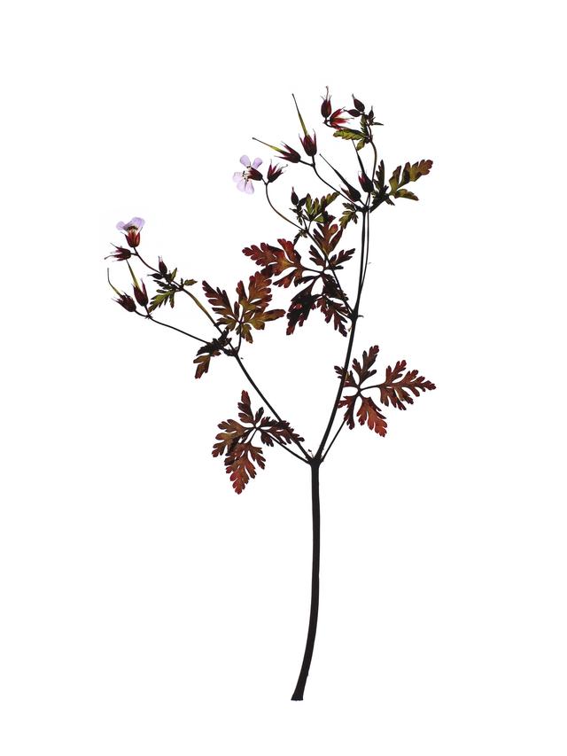 Stuttgart, Germany, 06/2021