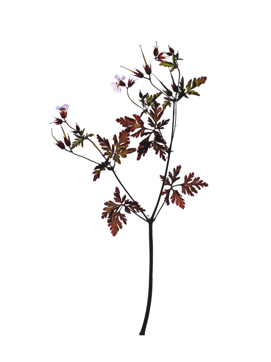 Stuttgart, Germany, 06/2021