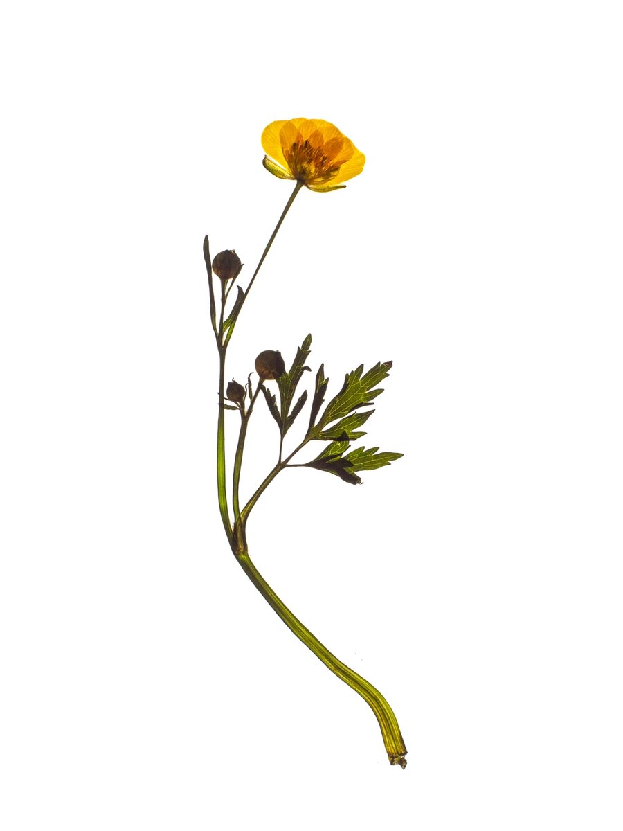 Munich, Germany, 05/2024