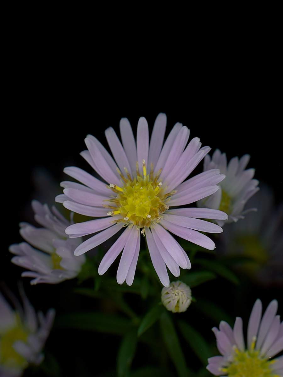 Thalkirchen, Germany, 09/2025